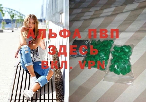 амф Осташков