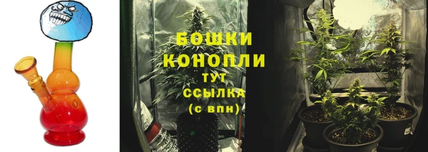 амф Осташков