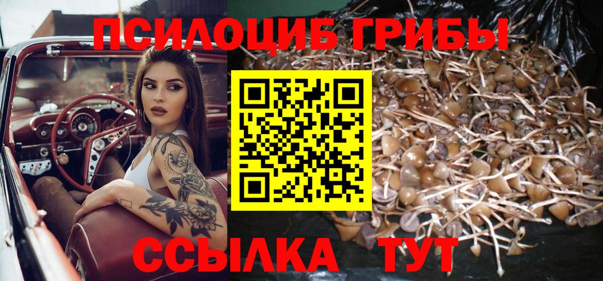 Гуково  Галлюциногенные грибы Psilocybe  Вход с VPN 