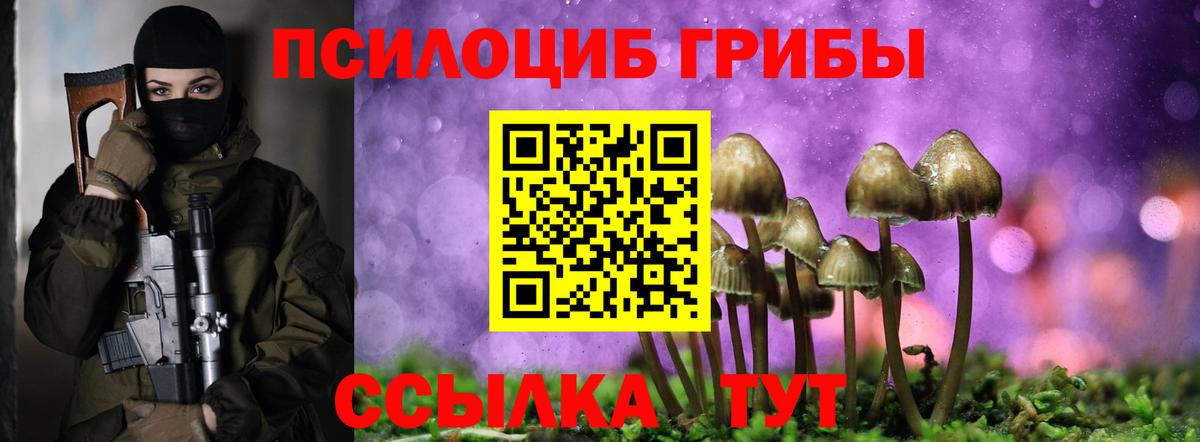 Галлюциногенные грибы GOLDEN TEACHER Гуково