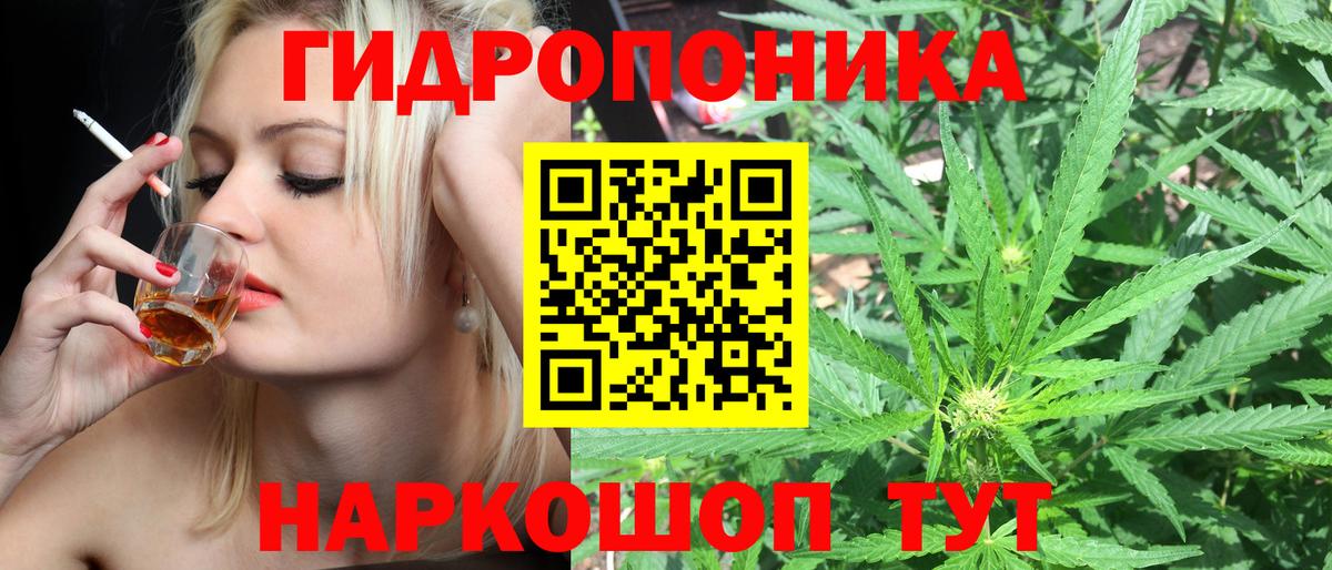 Шишки марихуана семена Гуково